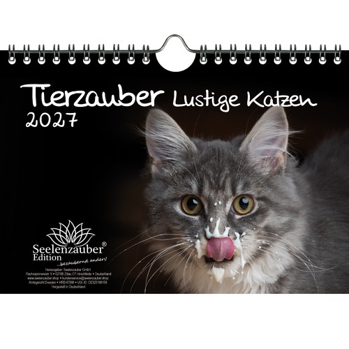 Tierzauber lustige katzen din - tierzauber,