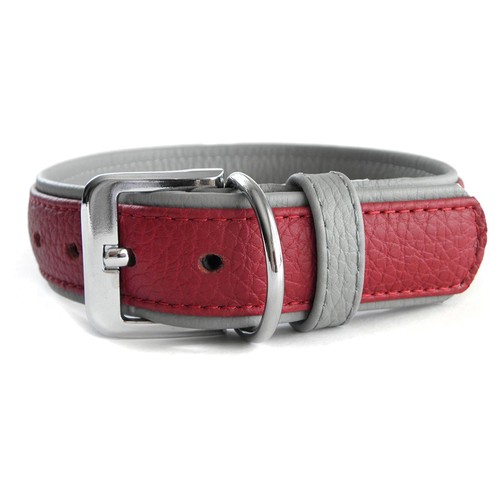 Das lederband hunde halsband - das,