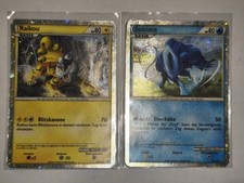 Pokémon | Raikou & Suicune |