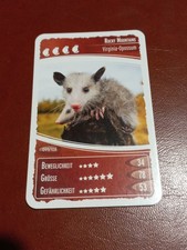 Netto Ozeanien 11 Geheimnisse der Nacht Karte Nr. 99 Rocky Mountains Opossum