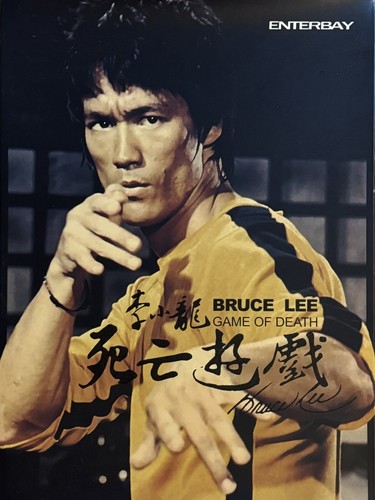Bruce lee game - bruce,