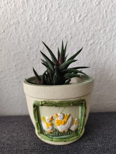 Vintage Blumentopf mit 3D-Gänserelief – echter Hingucker!