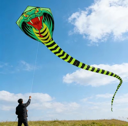 Einleiner cobra drachen - ,