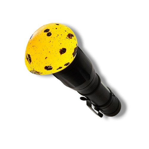 Wachtelglück led - wachtelglück®,