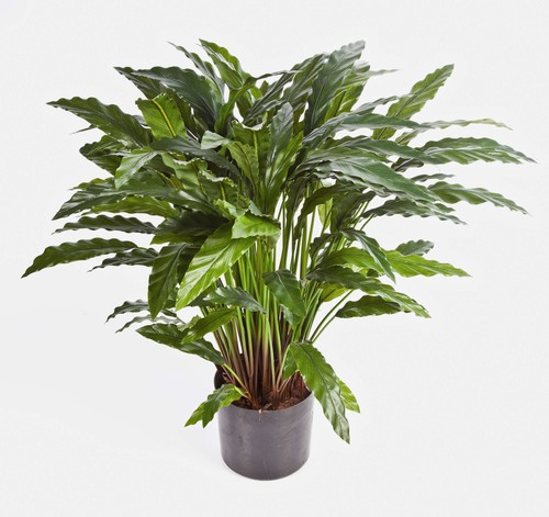 Artplants kunstpflanze - artplants,