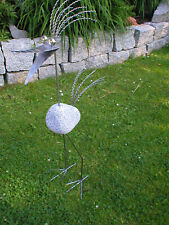 Wilder Steinvogel aus