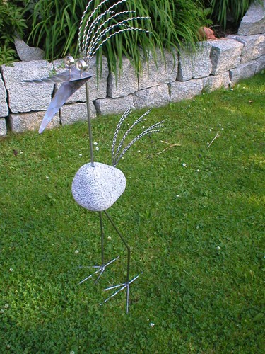 Wilder steinvogel aus - wilder,