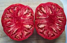 Tomatensamen - KRASNIJ GIGANT