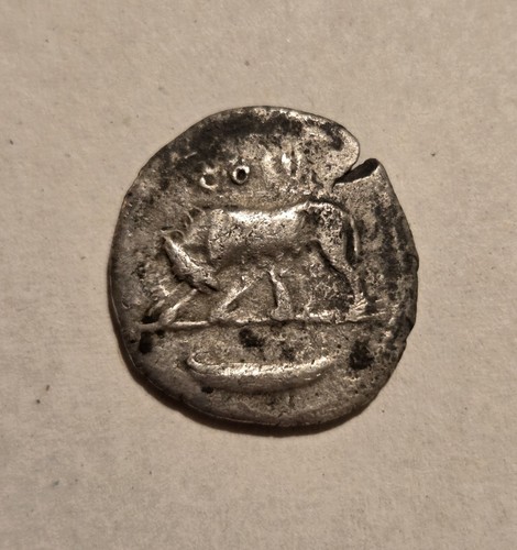 Domitian denar chr - 77-78,