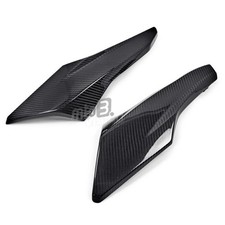 Carbon Bugspoiler für Triumph