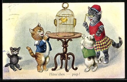 Der kanarienvogel eine - kanarienvogel,,