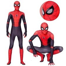 Superheld Spider Cosplay