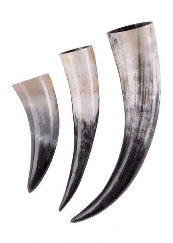 Trinkhorn 0 6 - trinkhorn,, 0,6