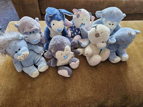 Blue nose friends konvolut - blue,