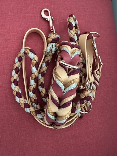 Hundehalsband und leine set - hundehalsband,