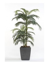 artplants Künstliche Areca