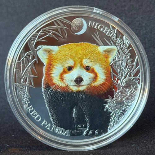 Night animals red panda - 1, oz
