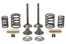 Ventilsatz komplett für BMW