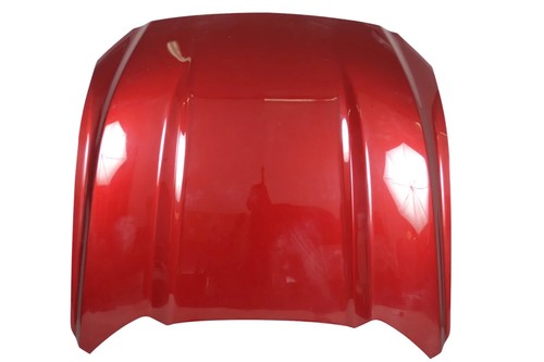 Ford mustang motorhaube rot - ford,