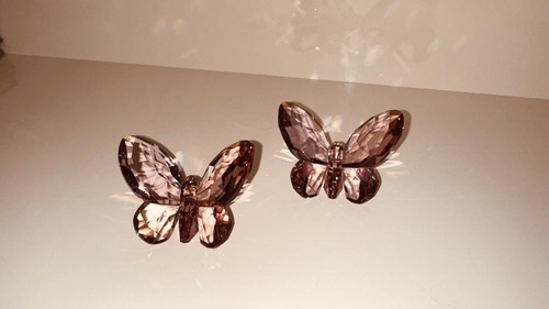 Swarovski schmetterling rose - swarovski,