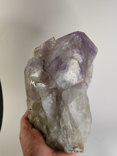 Quarz amethyst druse - quarz,
