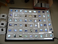 Dias 70er Jahre EINDHOVEN 100+