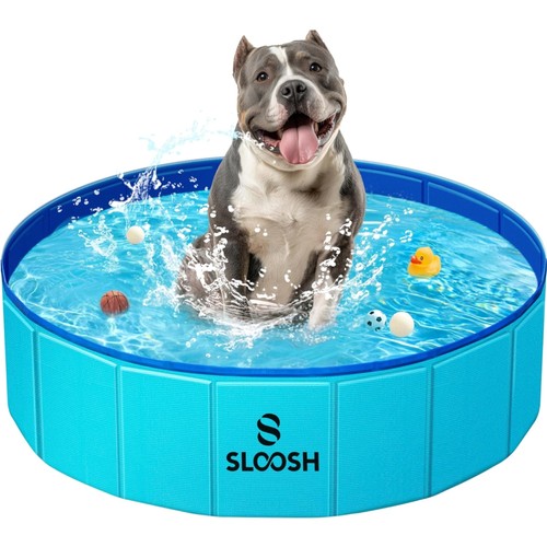 Hundepool planschbecken hund - planschbecken,