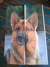Kommissar Rex 4Seiten Poster
