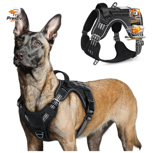 Hundegeschirr schwarz - hundegeschirr,