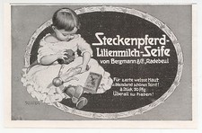 RADEBEUL, Werbung 1911, Bergmann & Co. Steckenpferd Lilienmilch Seife