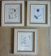 Laura Ashley 3 Bilder mit