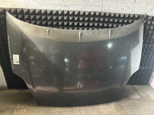 Motorhaube fiat punto evo - motorhaube,