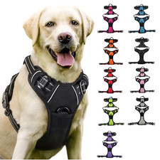 Hundegeschirr