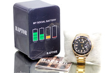 Herrenuhr RAPTOR Serious Edelstahl Armband Sportuhr Herren Unisex Datumsanzeige