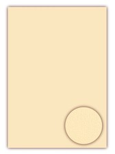 25 Blatt The Kiss Creme