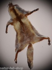 ROTFUCHS Fuchsfell Winterfell