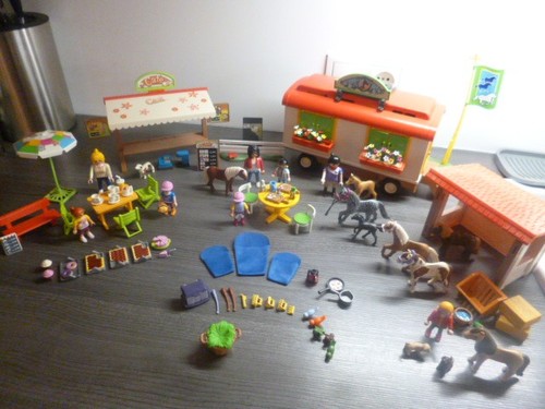 Playmobil country 70510 pony - 70510,