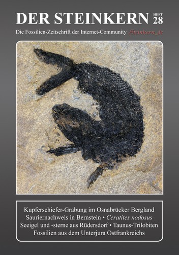 Der steinkern osnabrücker - steinkern,