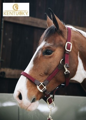 Kentucky halfter plaited nylon - kentucky,