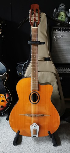 Akustische gitarre richwood - akustische,