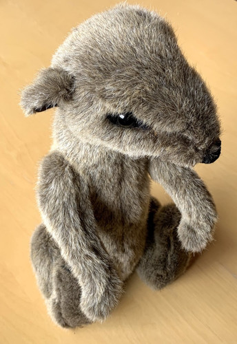 Seltener otter fischotter - seltener,