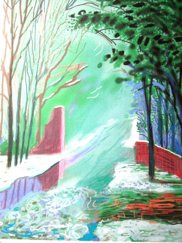 David hockney lithographie - david,
