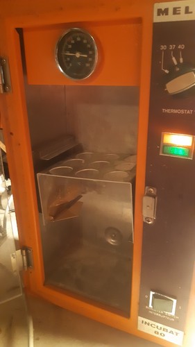 Melag incubat brutautomat - incubat,