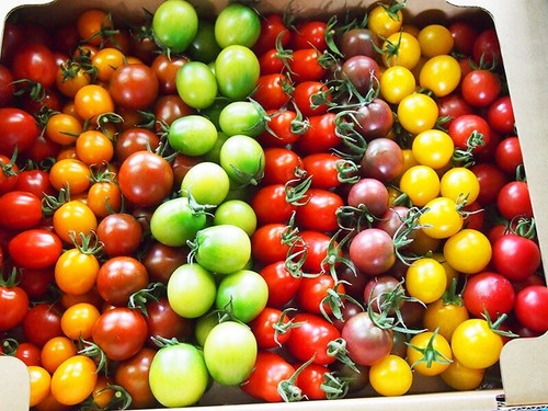 100 mix tomatensamen - x,