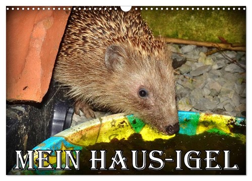 Mein haus igel - haus-igel, (wandkalender