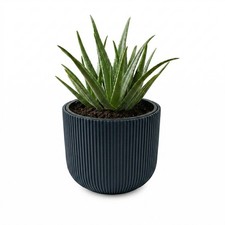 Prosperplast blumentopf - prosperplast,