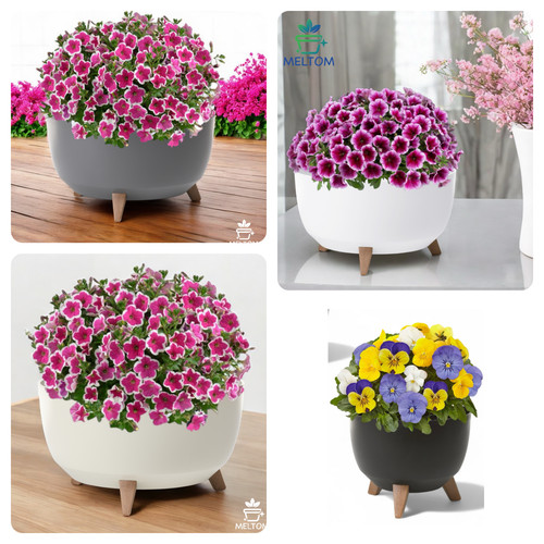 Blumentopf mit füßen - blumentopf,