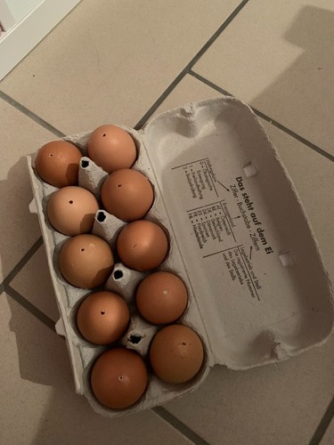 Ausgeblasene echte eier - echte,
