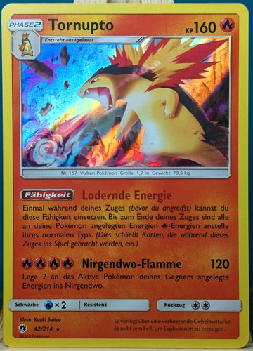 Pokemon echo des donners - pokemon,