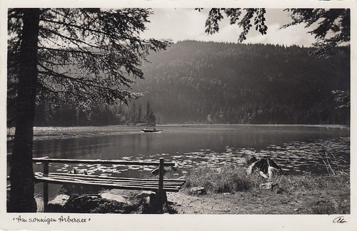 Sonnigen arbersee im - arbersee,